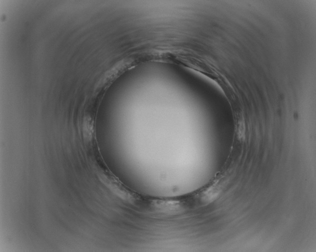 X0000073520476200608211809