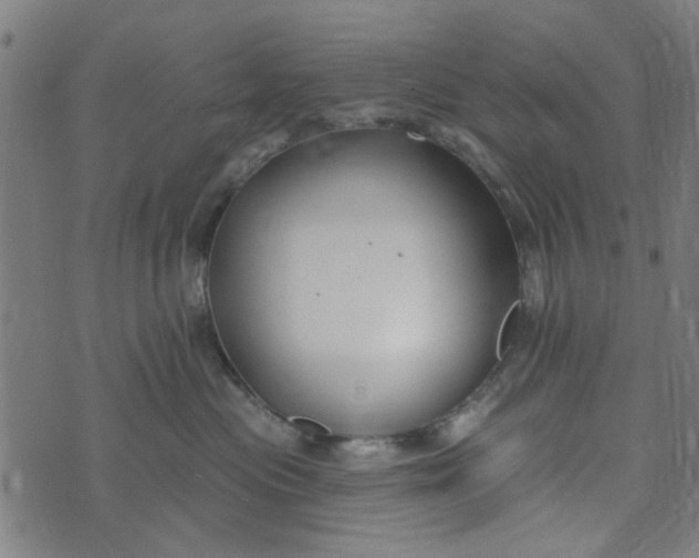 X0000073520477200608211809