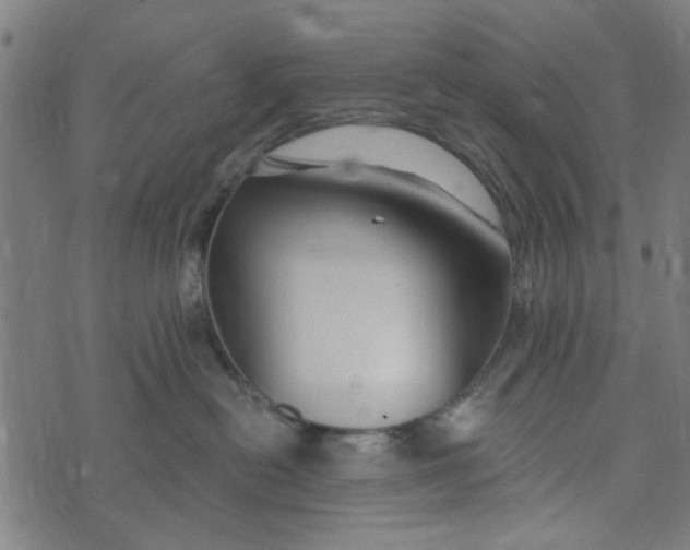 X0000073520478200608211809