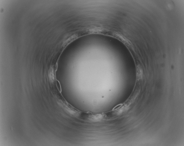 X0000073520479200608211809