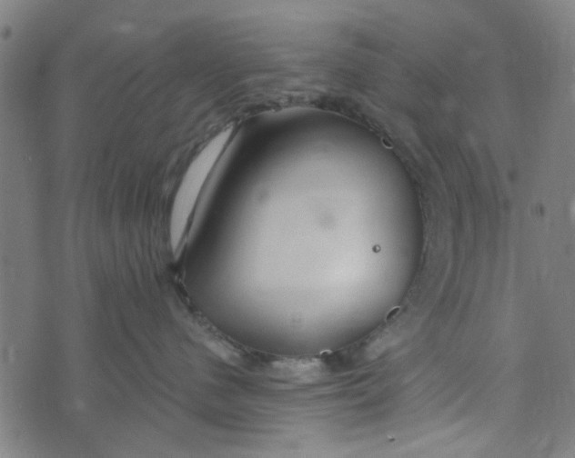 X0000073520480200608211809