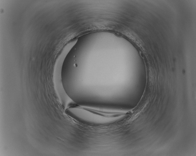 X0000073520481200608211808