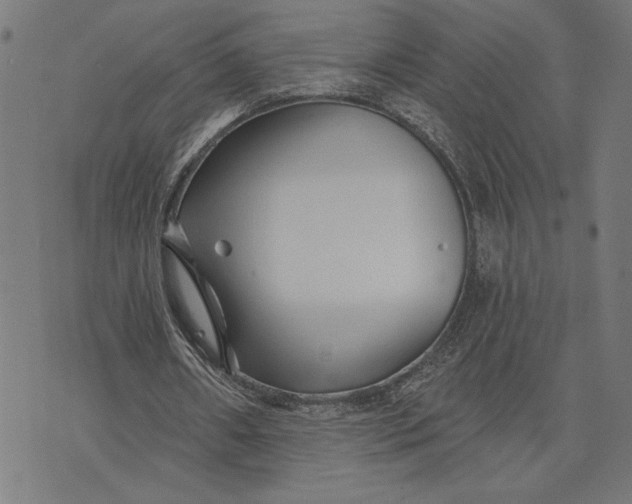 X0000073520482200608211808