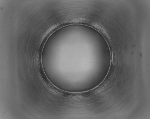 X0000073520483200608211808