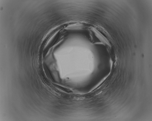 X0000073520484200608211808