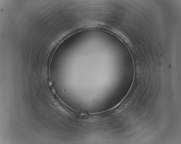 X0000073520485200608211808