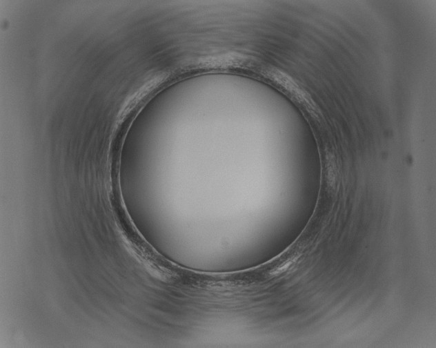 X0000073520486200608211808