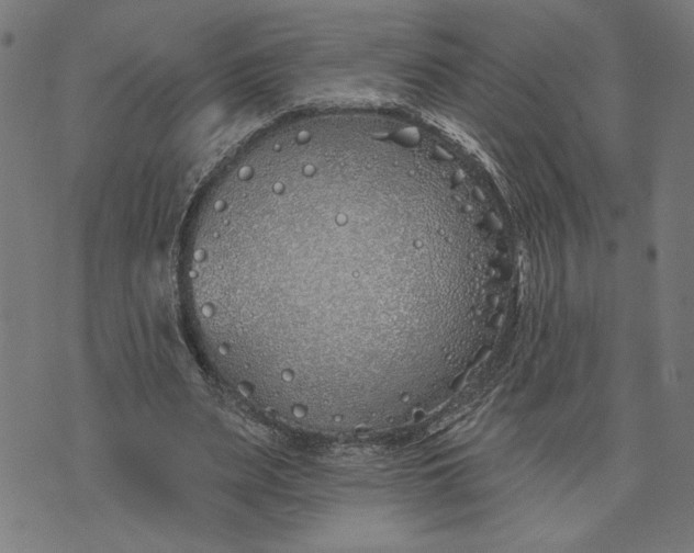 X0000073520487200608211808