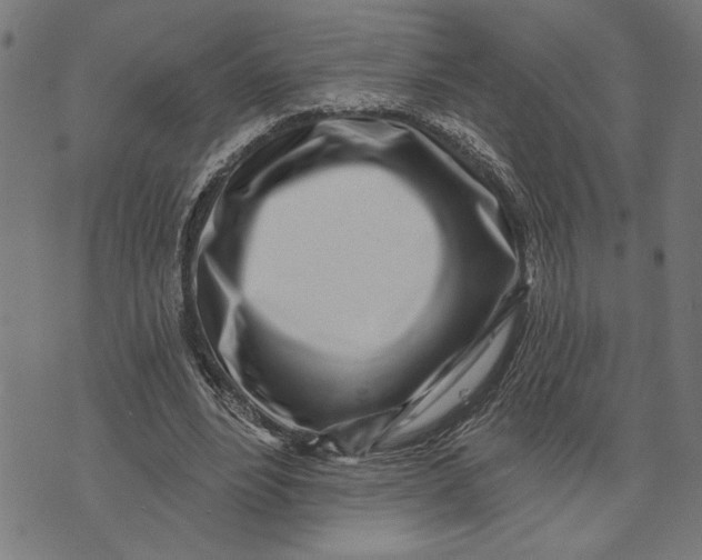 X0000073520488200608211808