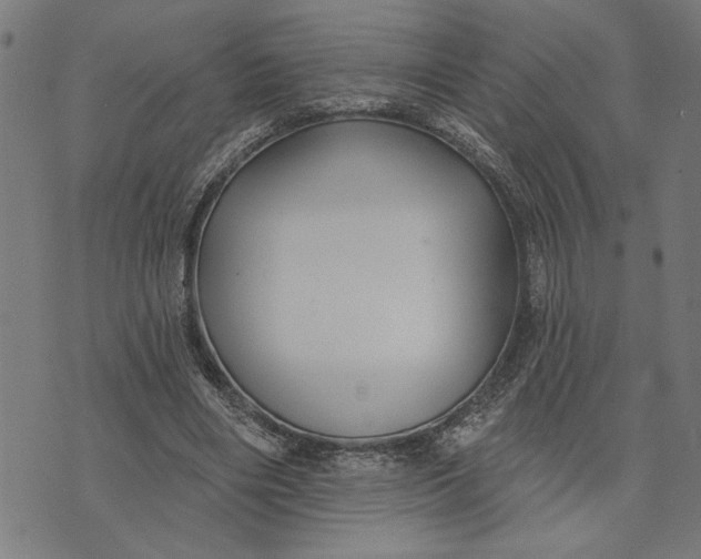 X0000073520490200608211808