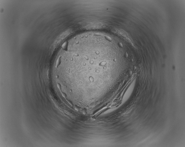 X0000073520491200608211808