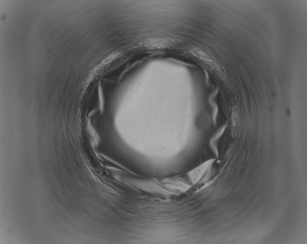 X0000073520492200608211808