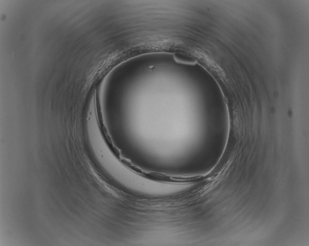 X0000073520493200608211808