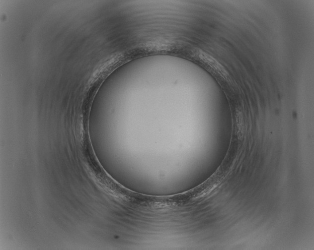 X0000073520494200608211808