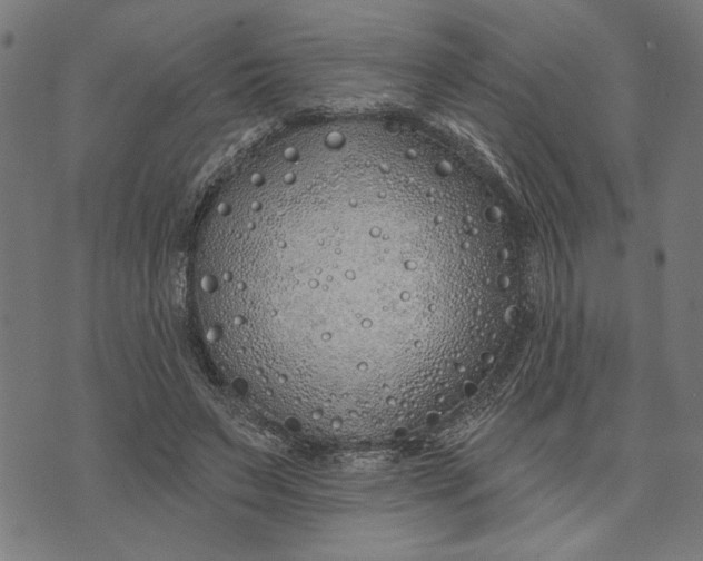 X0000073520495200608211808