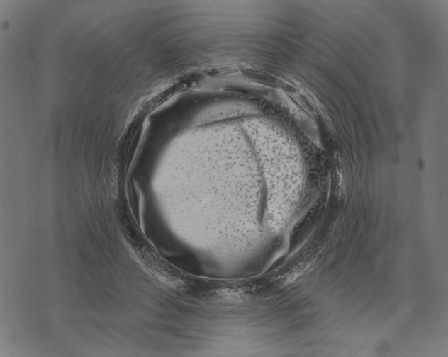 X0000073520496200608211808