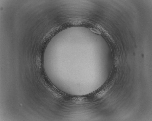 X0000073520497200608211808