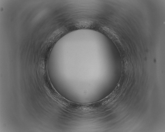 X0000073520498200608211808