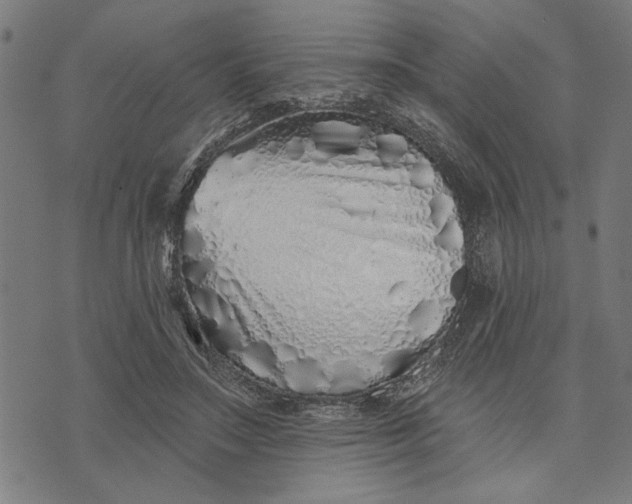 X0000073520499200608211808