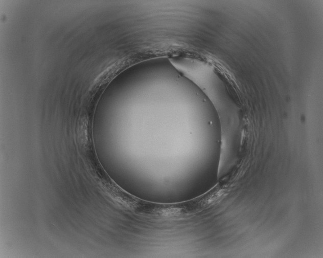 X0000073520501200608211808