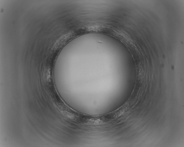 X0000073520502200608211808