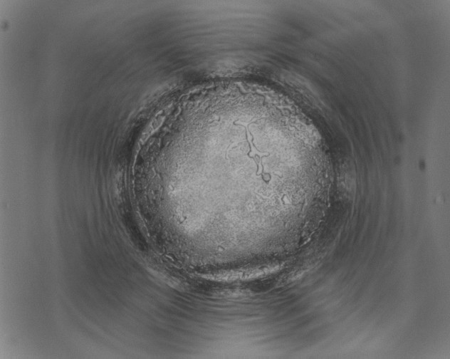 X0000073520503200608211808