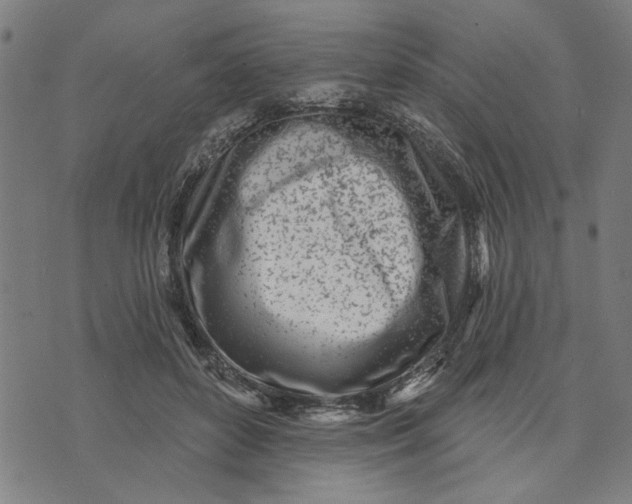 X0000073520504200608211808