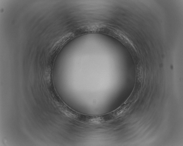 X0000073520505200608211808