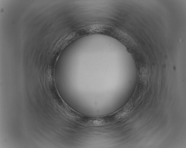 X0000073520506200608211808