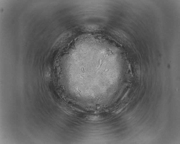 X0000073520507200608211808