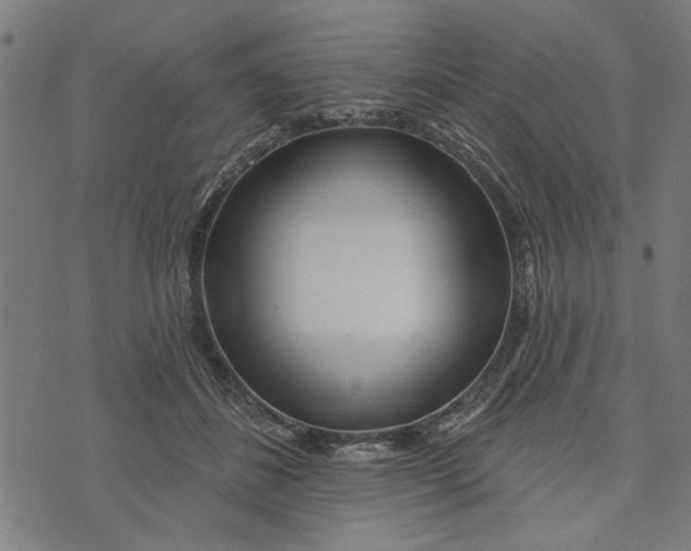 X0000073520508200608211808