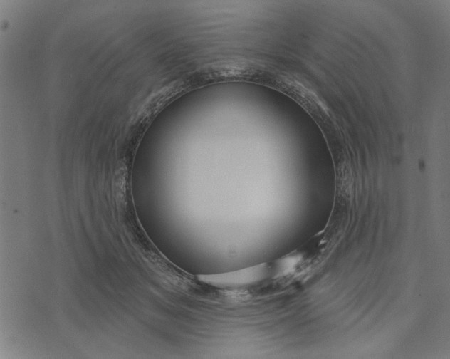 X0000073520509200608211808