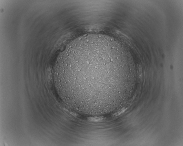 X0000073520511200608211808