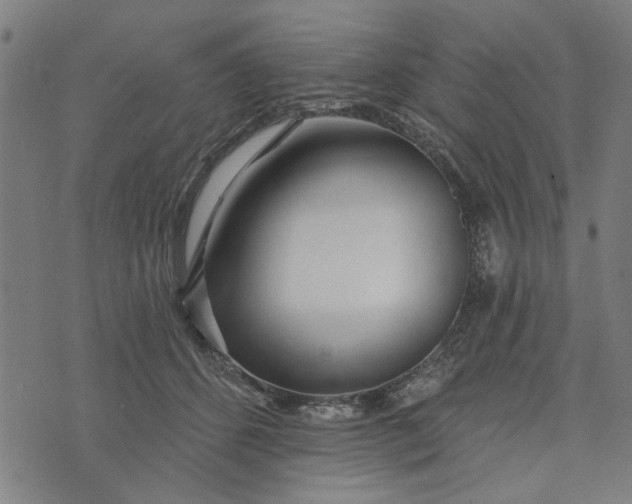 X0000073520512200608211808