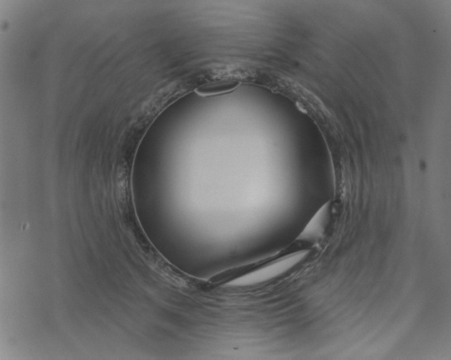 X0000073520513200608211808