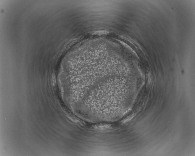 X0000073520517200608211808