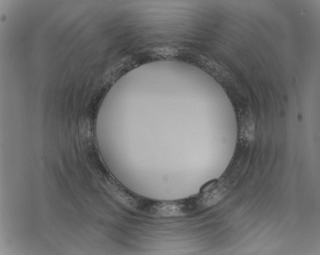 X0000073520518200608211808