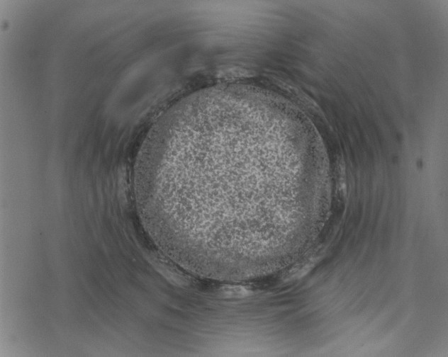 X0000073520519200608211808