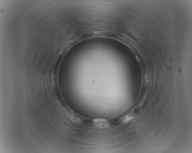 X0000073520520200608211808