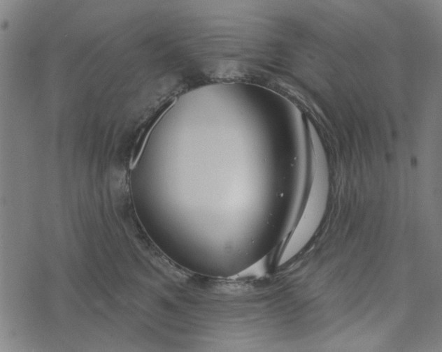 X0000073520521200608211808