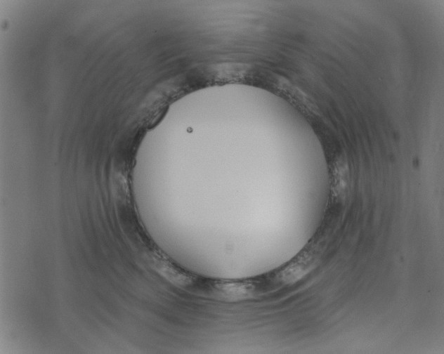 X0000073520522200608211808