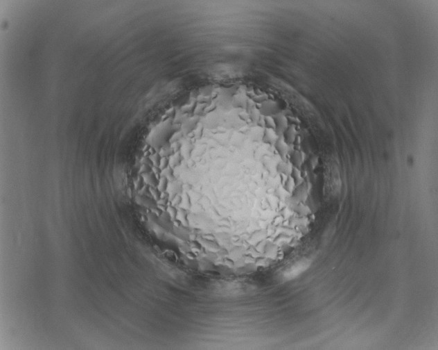 X0000073520523200608211808