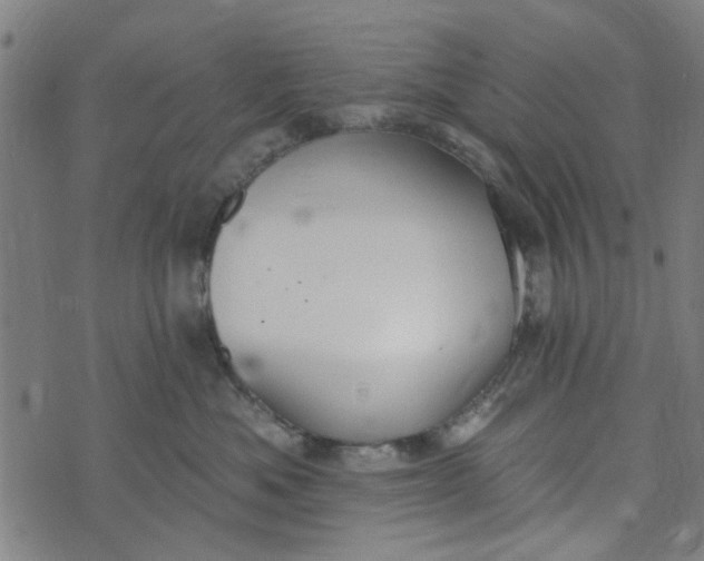 X0000073520525200608211808