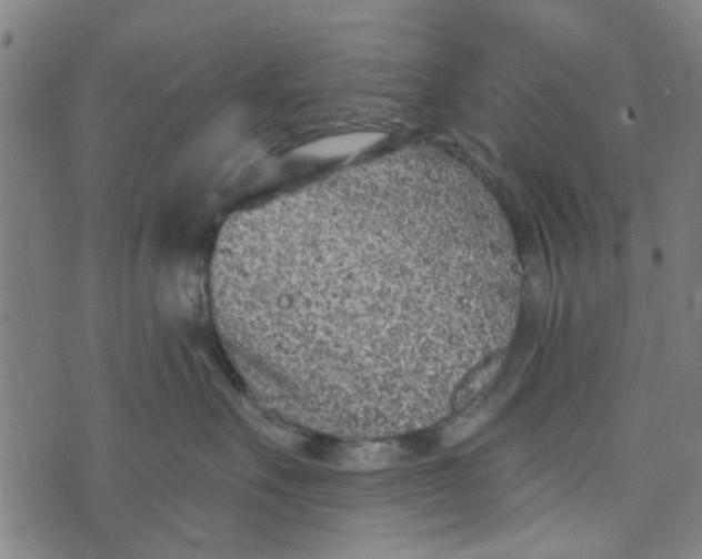 X0000073520527200608211808