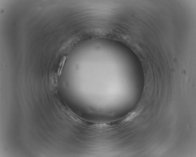 X0000073520528200608211808