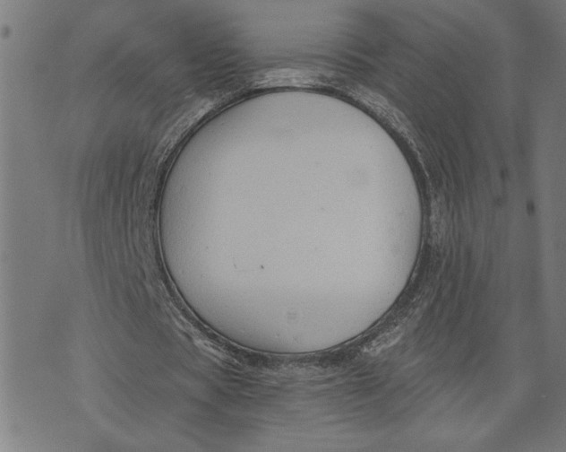 X0000073520529200608211807