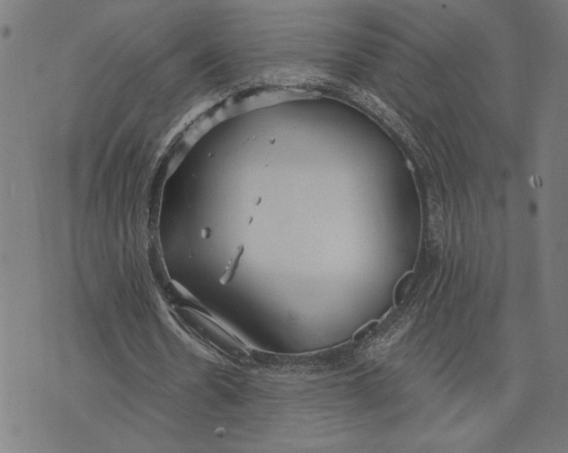 X0000073520530200608211807