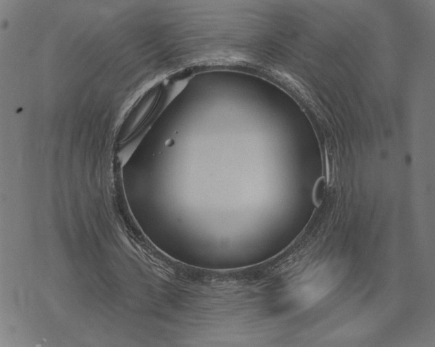 X0000073520531200608211807