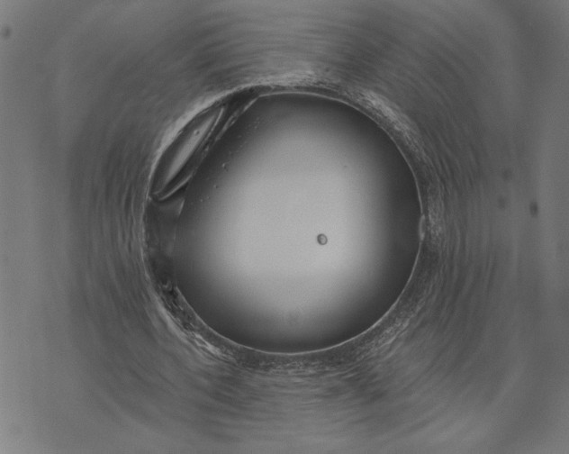 X0000073520532200608211807