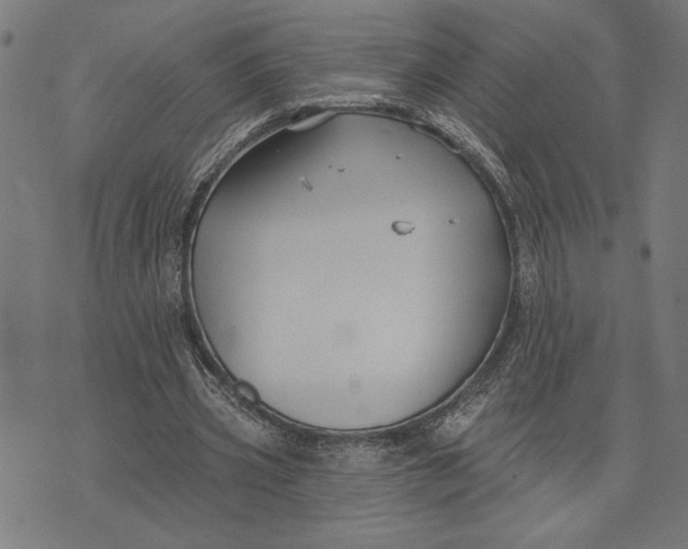 X0000073520533200608211807